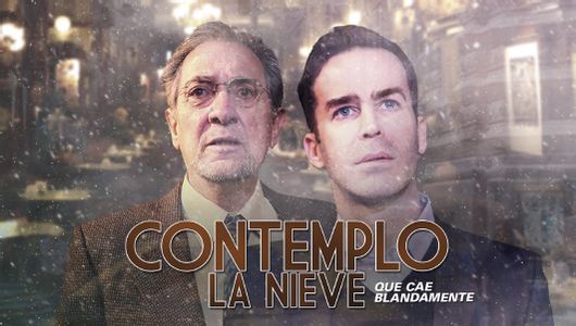 Contemplo la nieve que cae blandamente